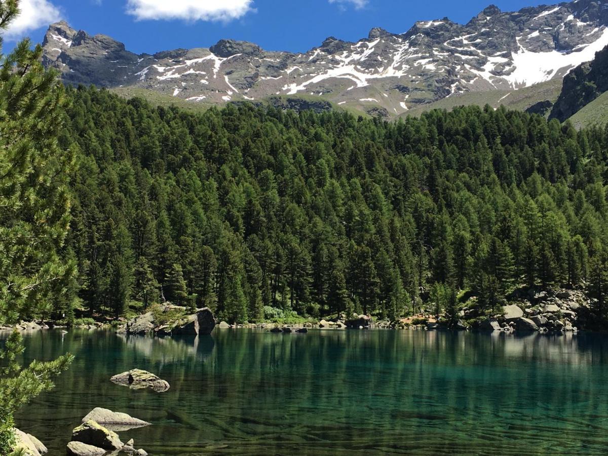 Chasa Sassalbo Panzió Poschiavo Kültér fotó